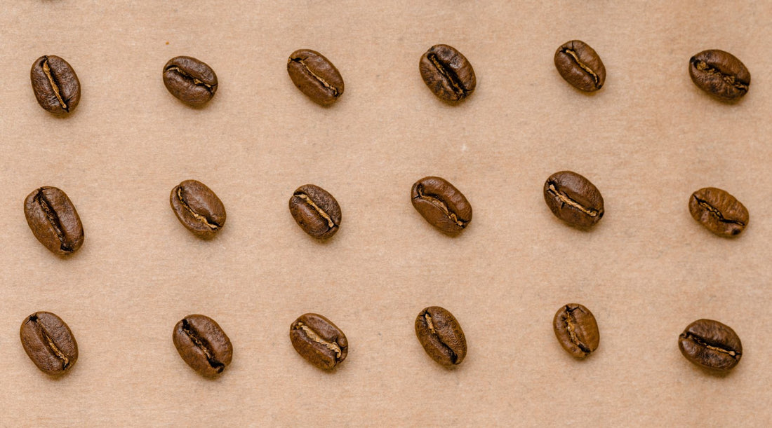 Fresh Coffee Beans