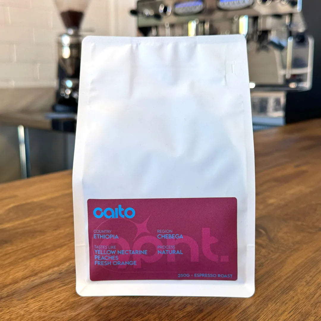 Single Origin: Caito Ethiopia Chebega | Perth Coffee Exchange