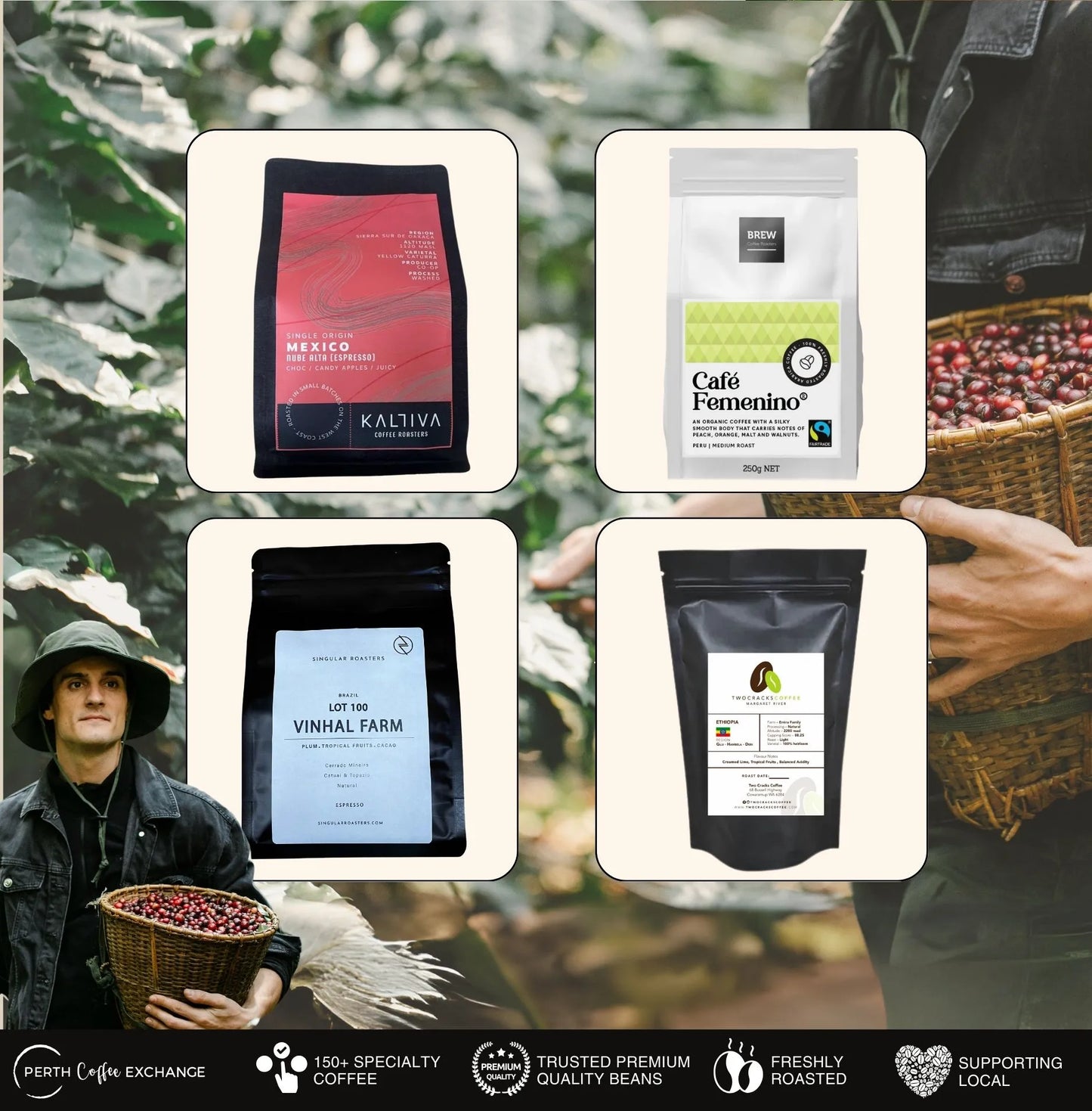 Specialty Coffee Gift Box | Perth Coffee Exchange
