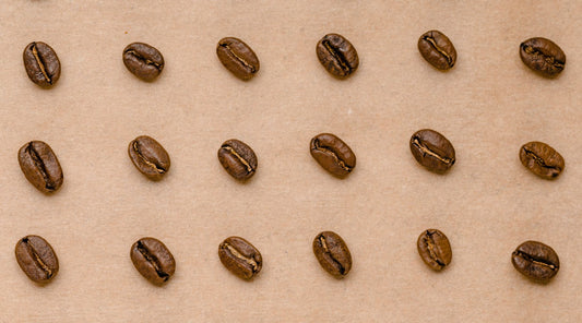 Fresh Coffee Beans