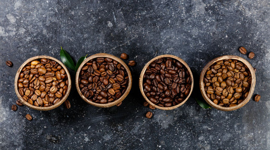 Cups of coffee beans roasted to different profiles in cups on a stone bench