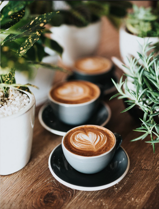 Top Trending Coffees in Perth 2021