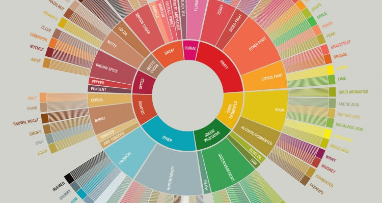 The Coffee Tasting Wheel Explained