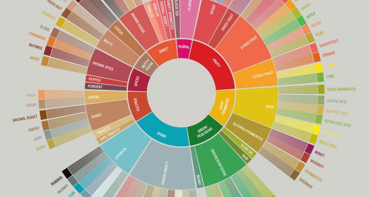 The Coffee Tasting Wheel Explained
