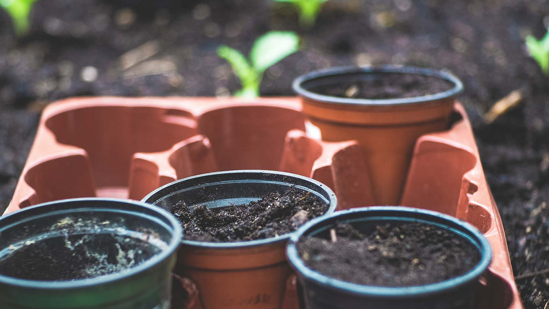 Home coffee sustainability measures