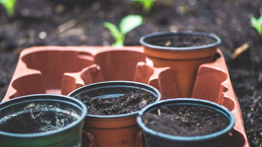 Home coffee sustainability measures