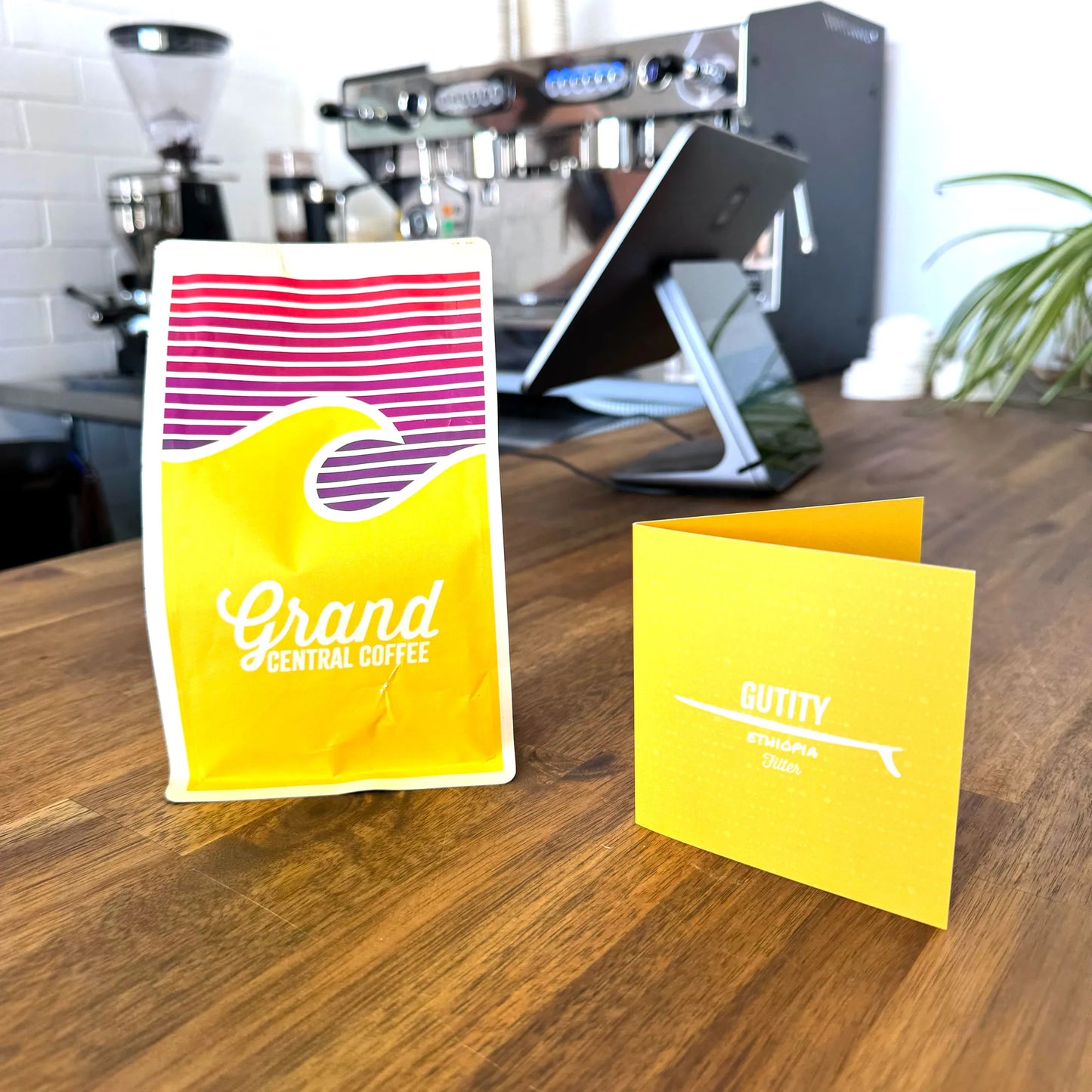 
                  
                    Grand Central - Gutity | Perth Coffee Exchange
                  
                