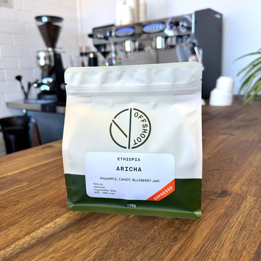 Offshoot Coffee Roasters - Aricha | Perth Coffee Exchange