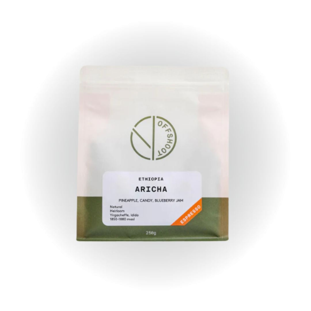 Ofshoot Coffee Roasters - Aricha Ethiopian Single Origin Coffee Beans Perth