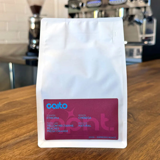 Single Origin: Caito Ethiopia Chebega | Perth Coffee Exchange