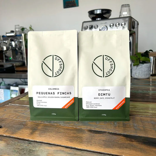 Single Origin of the Month