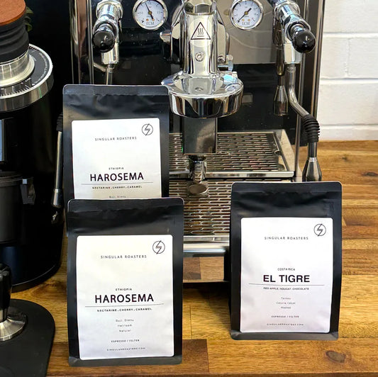 Single Origin of the Month