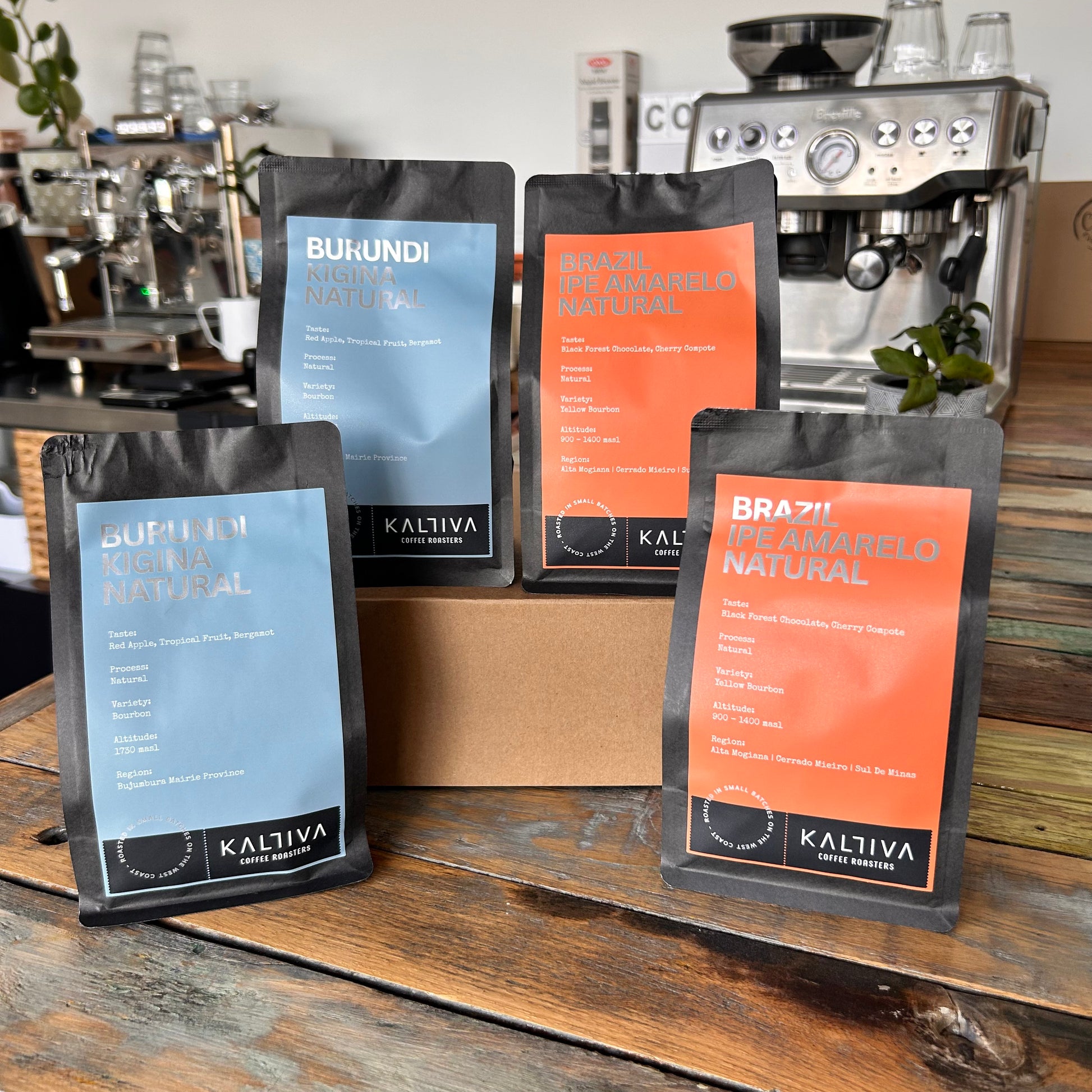 Single Origin of the Month