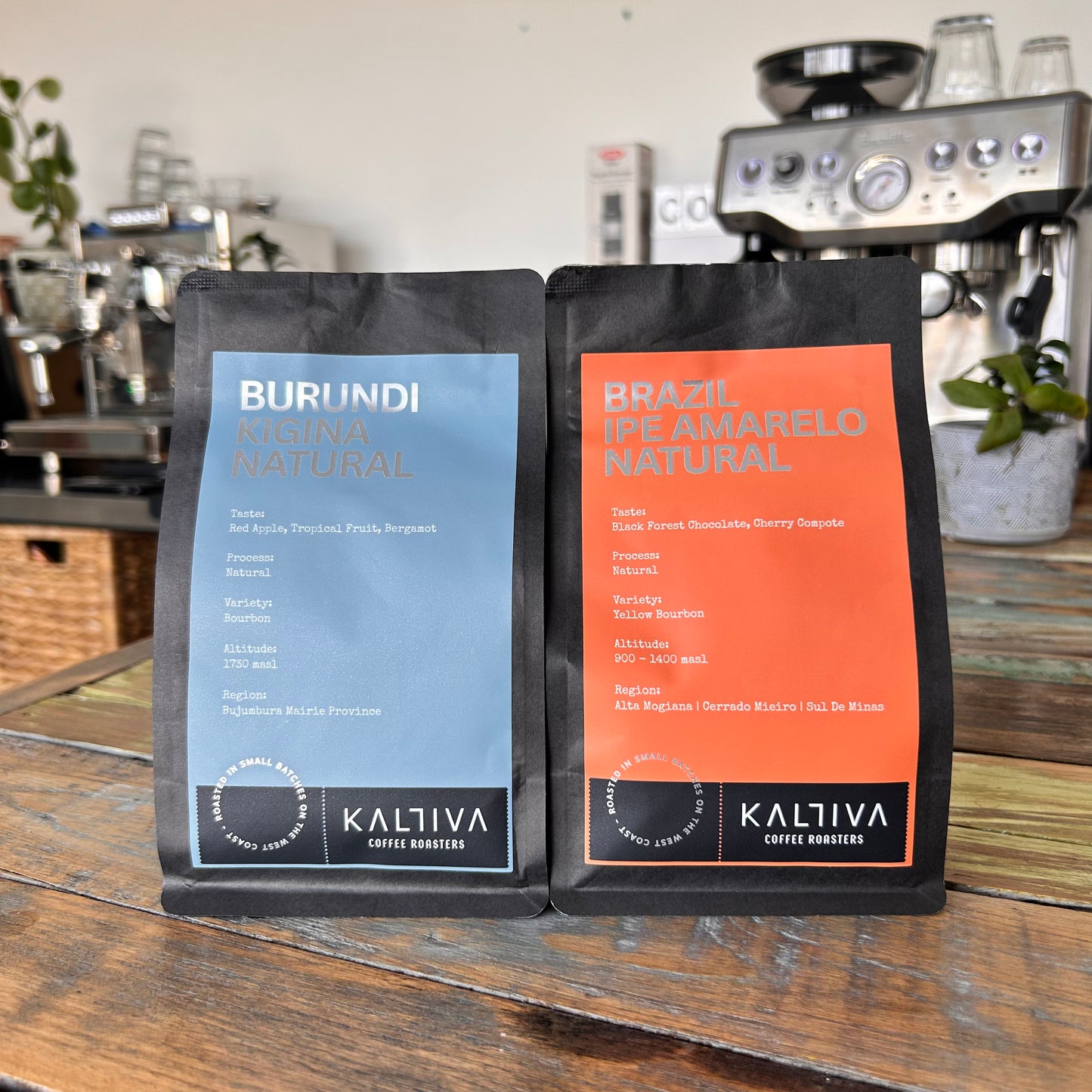 Single Origin of the Month
