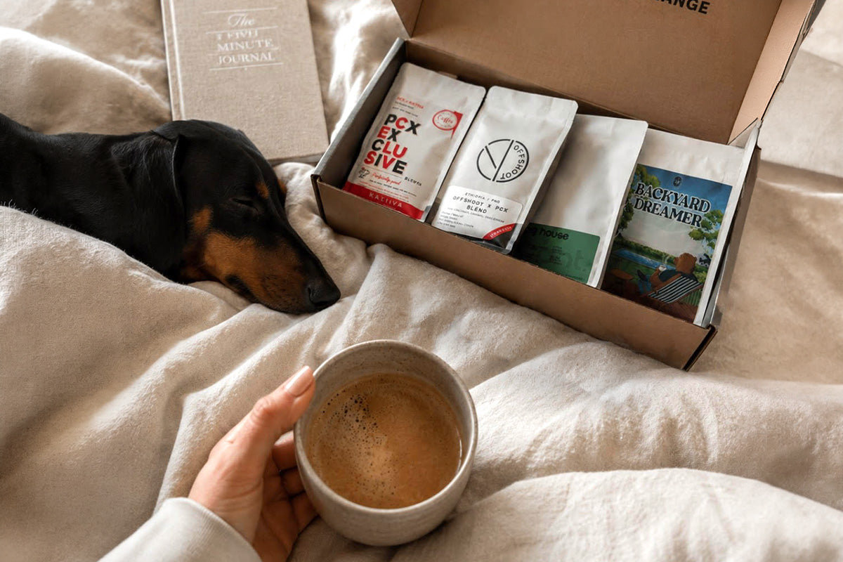 Father's Day Coffee Discovery Box